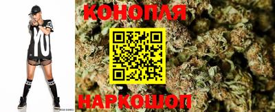 гашик Нарткала